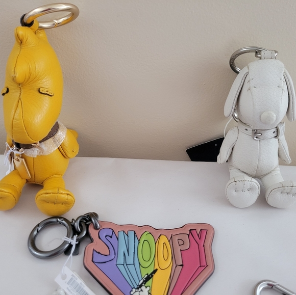 Coach Keychain - Picture 6 of 9